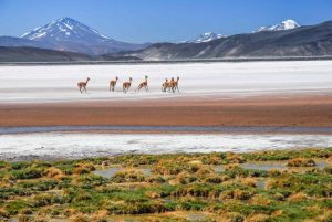La Ruta de los Seismiles Argentina: un destino irresistible entre volcanes andinos