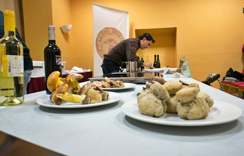 Jornadas gastronómicas «CORIA, SABOR MICOLÓGICO»