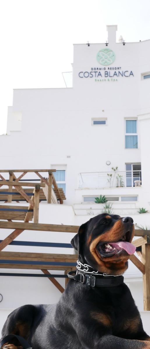 Dormio Resort Costa Blanca, un espacio Pet Friendly para disfrutar en familia en El Campello, Alicante