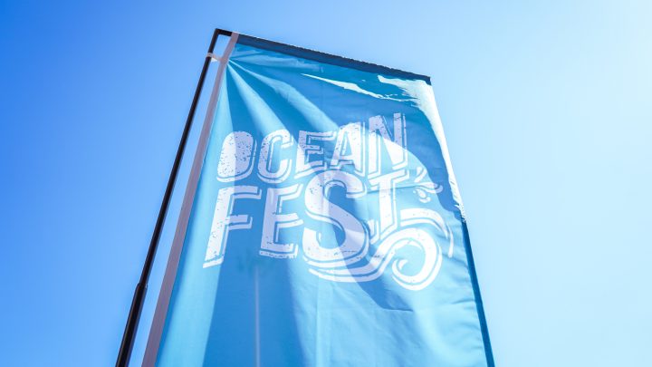 El Oceanogràfic de Valencia organiza el festival ‘OceanFest’ para promover la cultura marina y el turismo sostenible