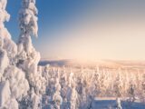 Finlandia, donde el invierno se convierte en la época más mágica del año Finlandia, donde el invierno se convierte en la época más mágica del año