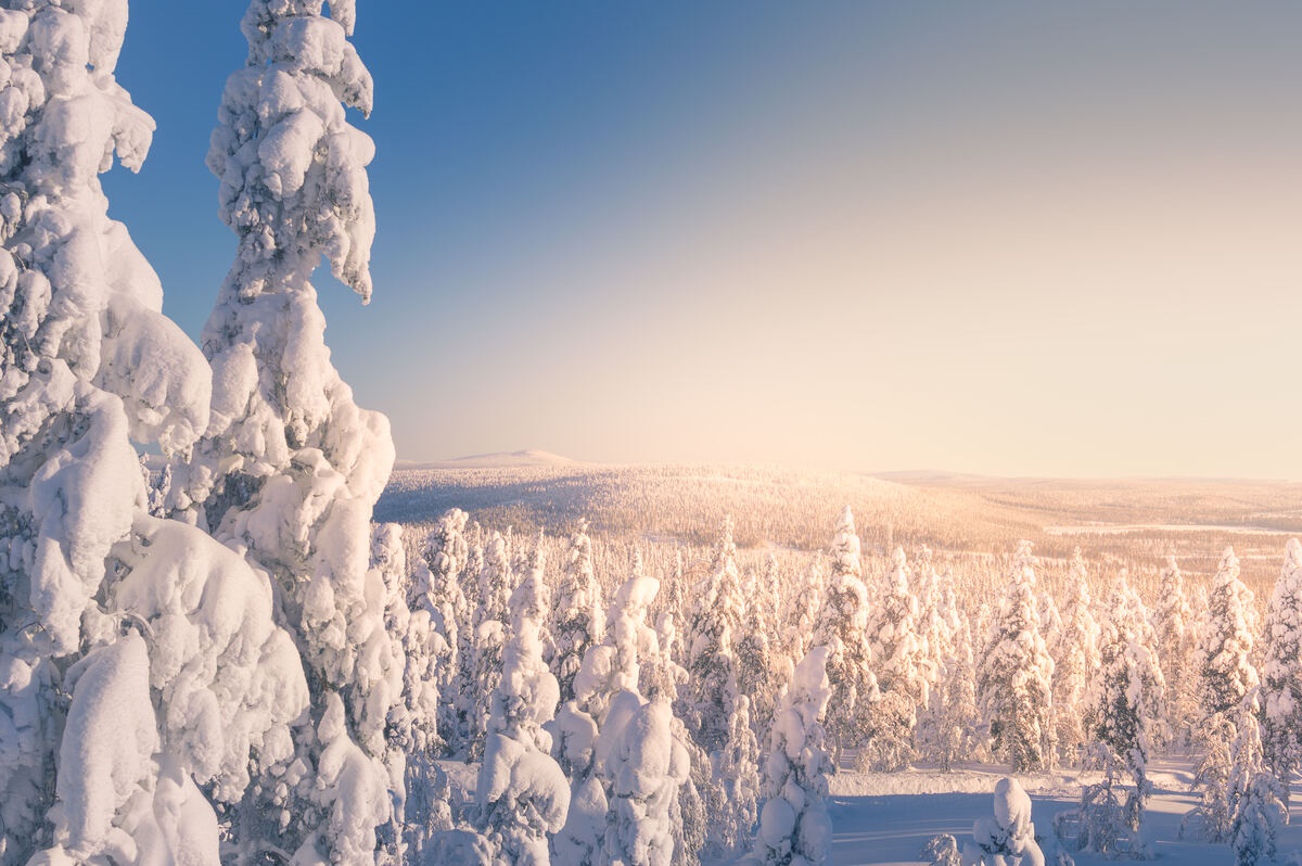 Finlandia, donde el invierno se convierte en la época más mágica del año