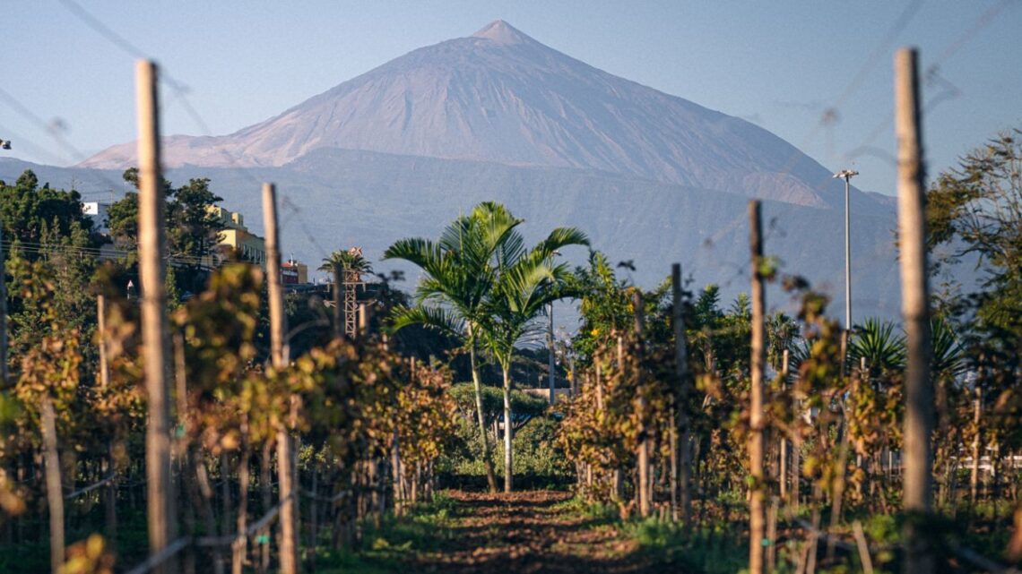 Qué hacer en Tenerife: 10 planes imprescindibles para disfrutar la isla.
