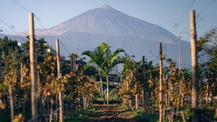 Qué hacer en Tenerife: 10 planes imprescindibles para disfrutar la isla.